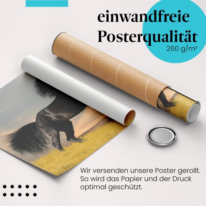 "Friesenhengst": Gerolltes Poster - stolz, Sonnenuntergang.