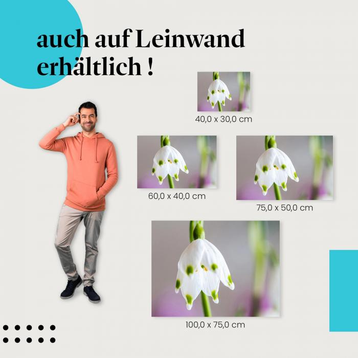Märzenbecher: Leinwandbild. Makroaufnahme, Frühlingsblume, zarte Schönheit.