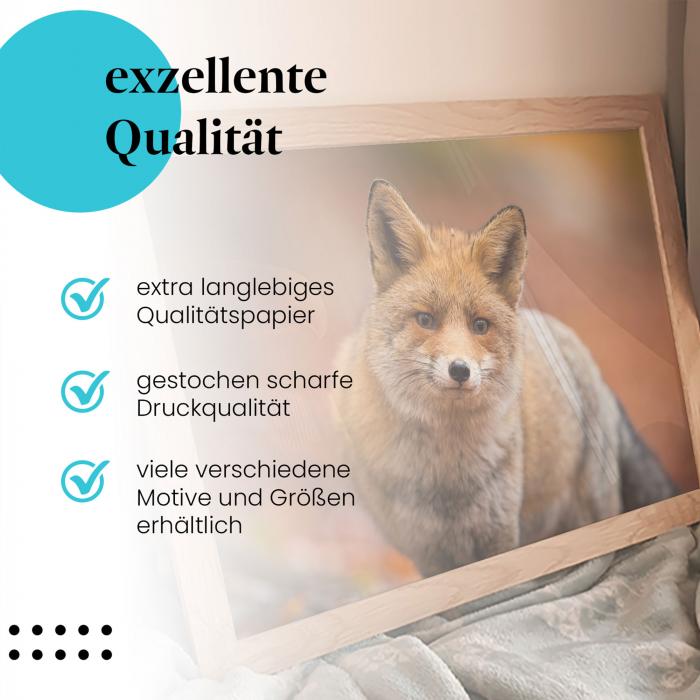 Preview: Fuchs im Herbstwald | Postereck 4093