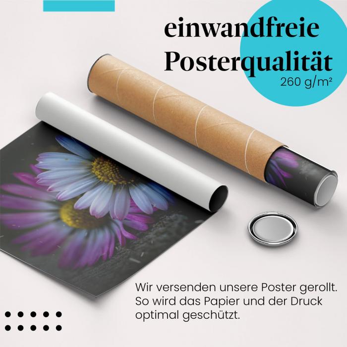 Gerolltes Poster "Winterliche Gänseblümchen" - Winterzauber, sicher verpackt.