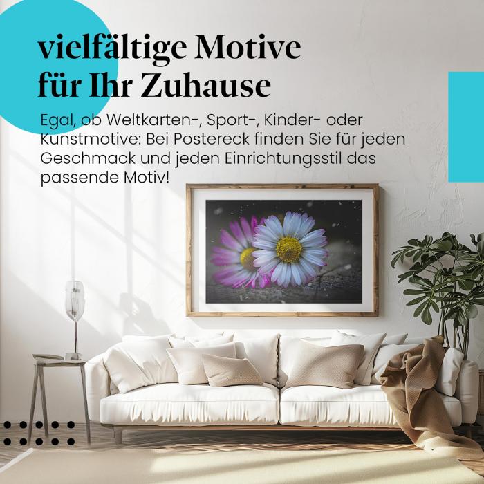 Leinwandbild "Gänseblümchen & Schnee": Weiße & lila Blüten - winterliche Magie!