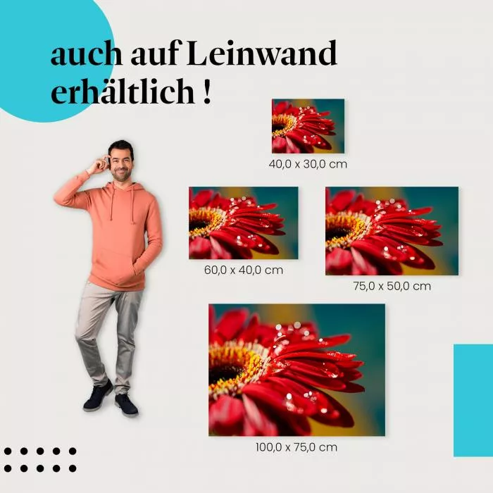 Rote Gerbera | Postereck 2860