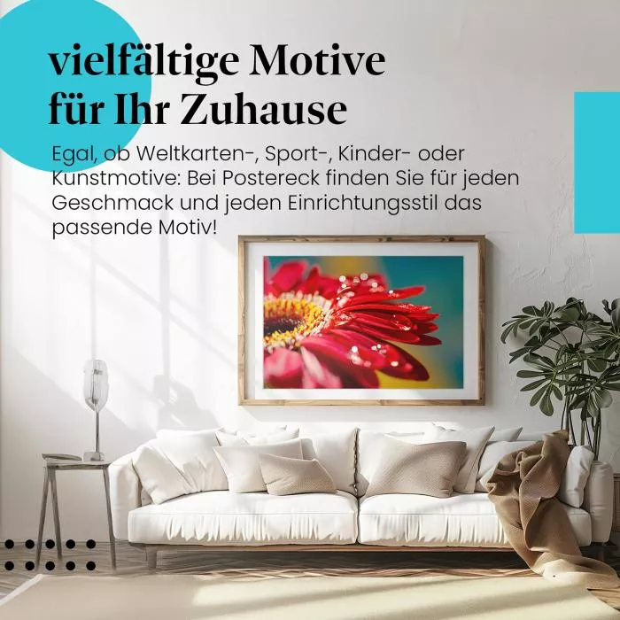 Rote Gerbera | Postereck 2860