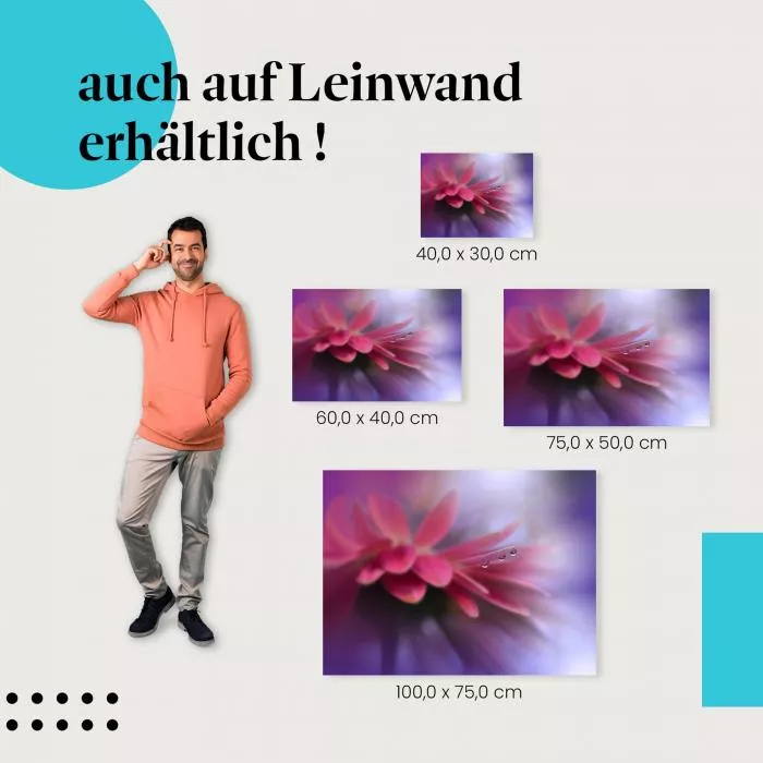 Gerbera Makro | Postereck 3820