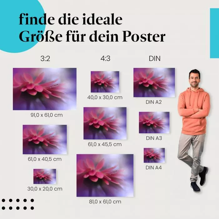 Gerbera Makro | Postereck 3820