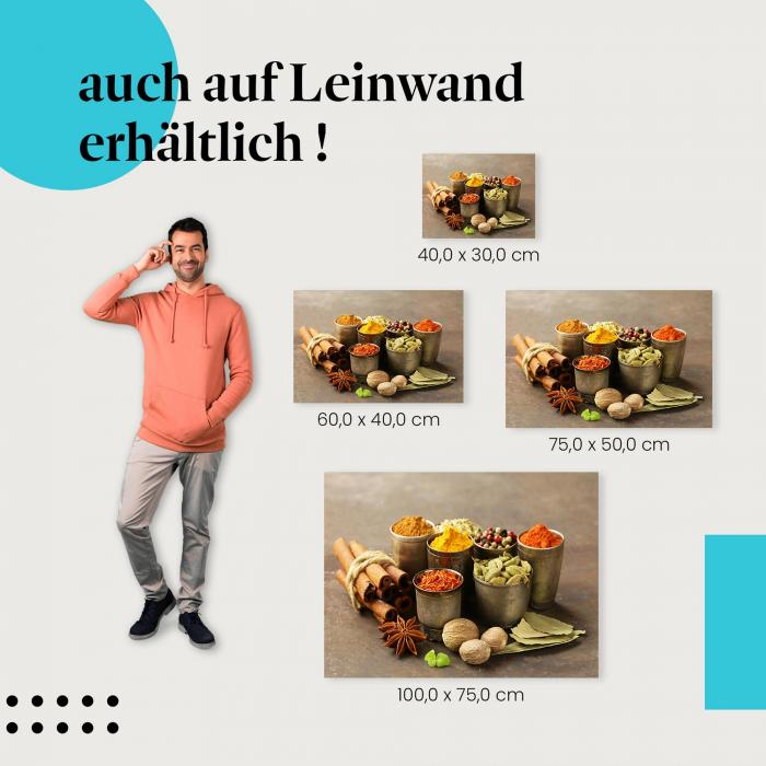 Gewürze: Leinwandbild. Schälchen, Zimt, Sternanis.