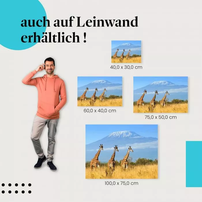 Giraffen am Kilimandscharo | Postereck 3422
