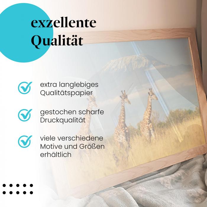 Preview: Giraffen am Kilimandscharo | Postereck 3422