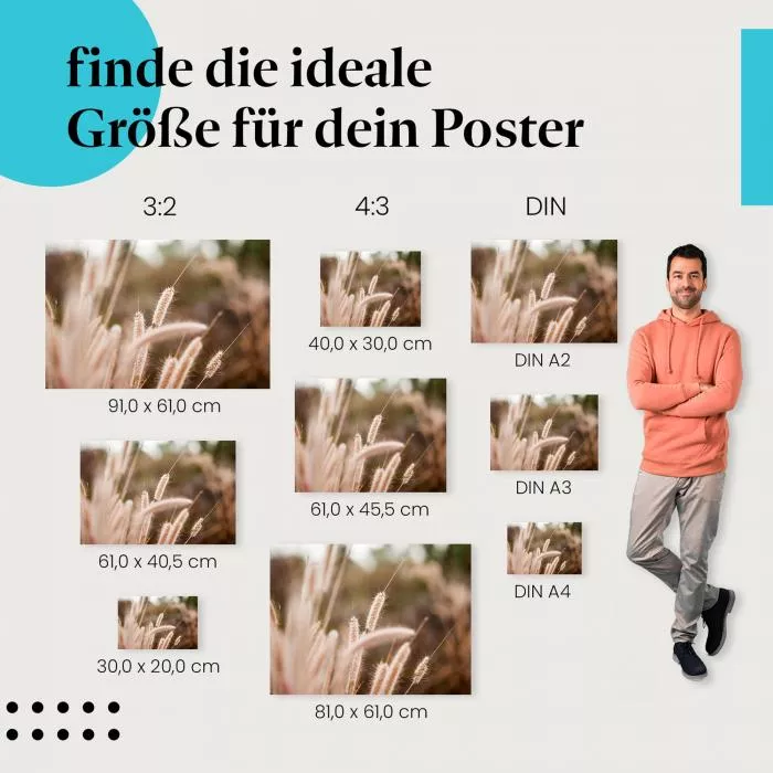Goldene Gräser: Abendlicht | Postereck 1354