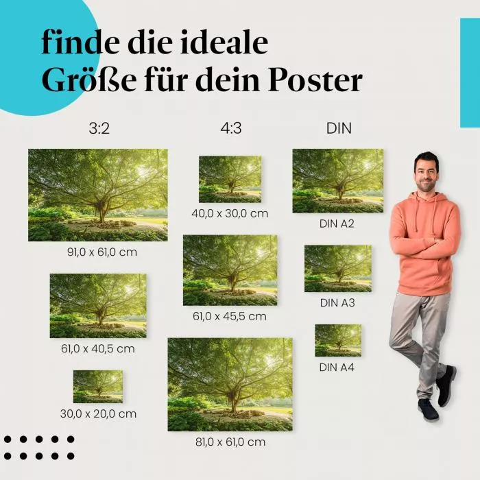 Ruhepol Natur | Postereck 3910