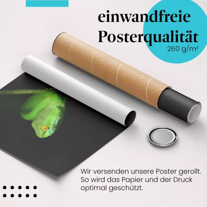 Grüne Viper: Dschungel | Postereck 1806