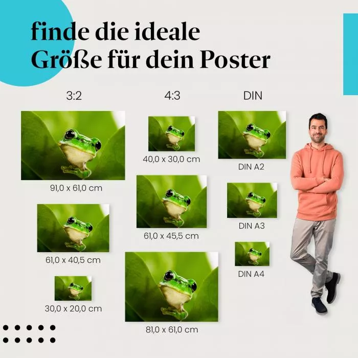  Versteckter Frosch: Grüne Blätter & Neugier | Postereck 0208
