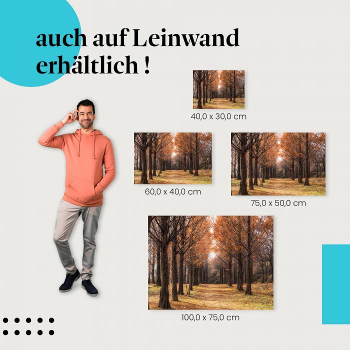 Leinwandbild "Herbstlicher Spaziergang": Landschaft & Farbenpracht
