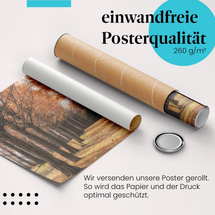 "Herbstlicher Spaziergang": Gerolltes Poster - Allee, Wald.