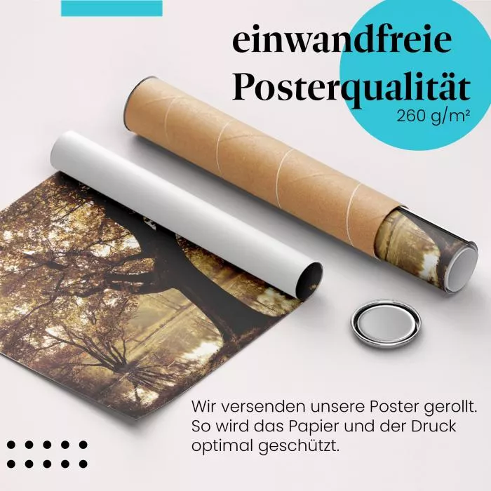 Herbstzauber: Baum am See & Sonnenlicht | Postereck 0674