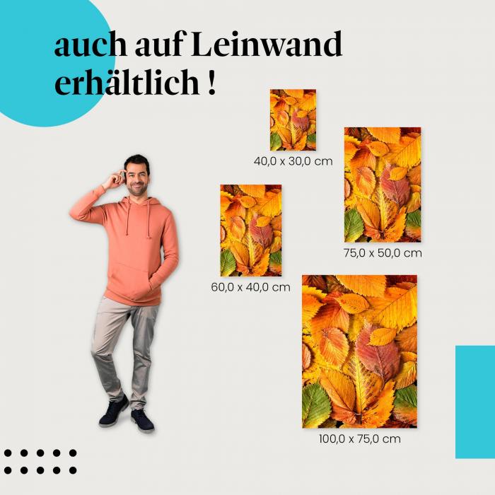 Leinwandbild "Farbenpracht des Herbstes": Die Stimmung des Herbstes