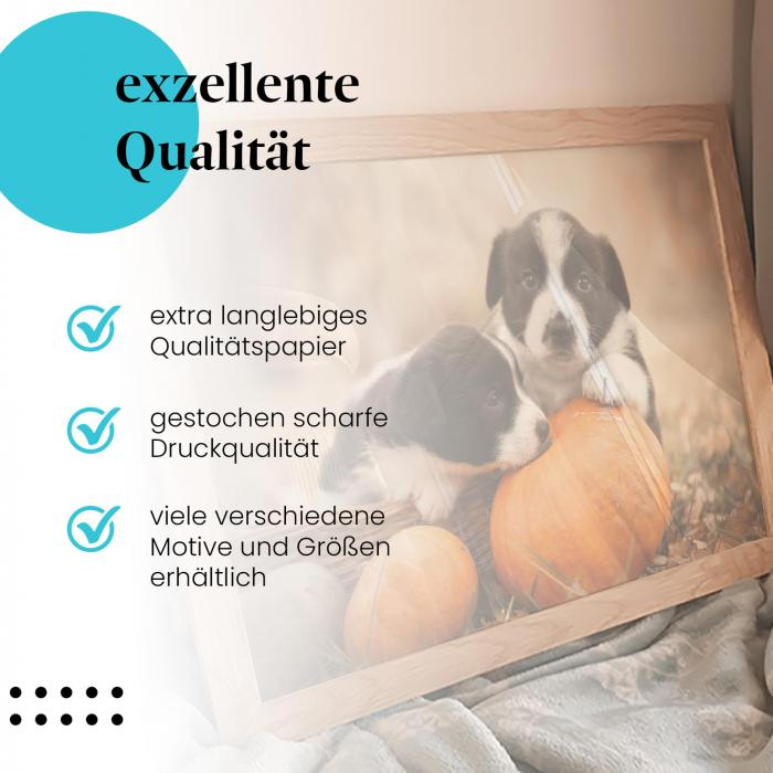 Preview: Welpen im Kürbis | Postereck 3776