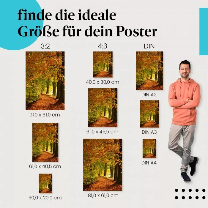 Herbstwald: Spaziergang im… | Postereck 1797