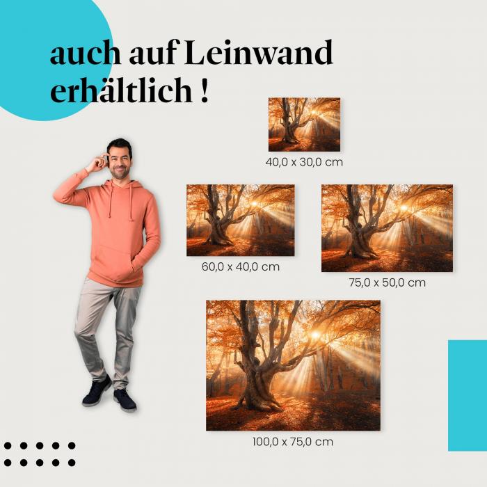 Herbstwald: Leinwandbild. Sonnenlicht, Baum, mystisch, wähle deine Größe!