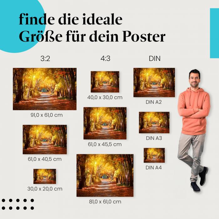 Entdecke die passende Postergröße: Herbstlicher Weg, goldene Bäume, warmes Sonnenlicht.