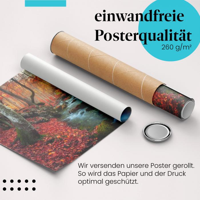 Preview: Herbstlicher Wasserfall | Postereck 3068