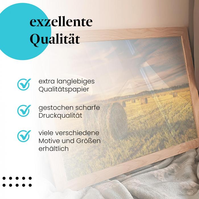 Gerahmtes Bild "Heurollen". Landschaft, Sonnenuntergang, ländliche Idylle.