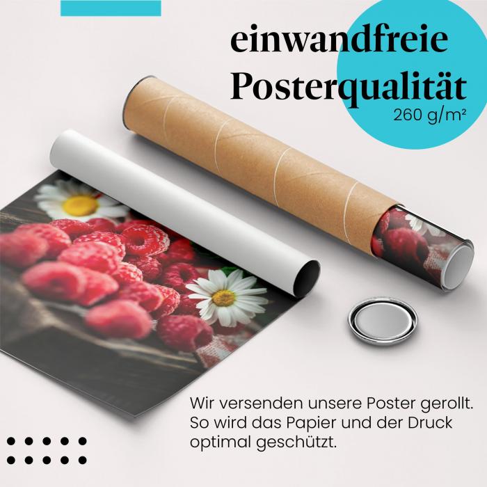 Preview: Himbeeren | Postereck 3223