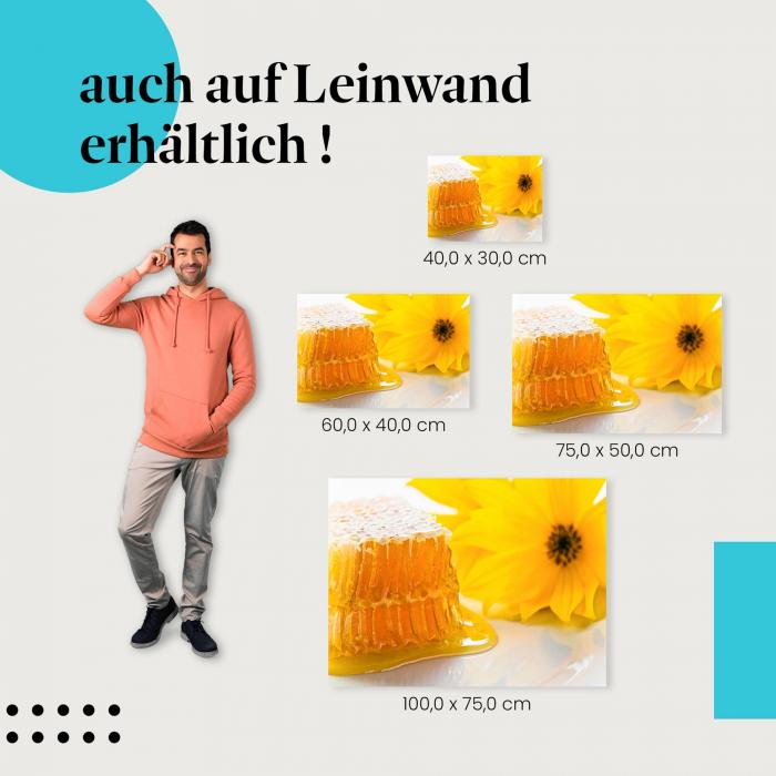 Honigwabe: Leinwandbild. Honig, Blume.