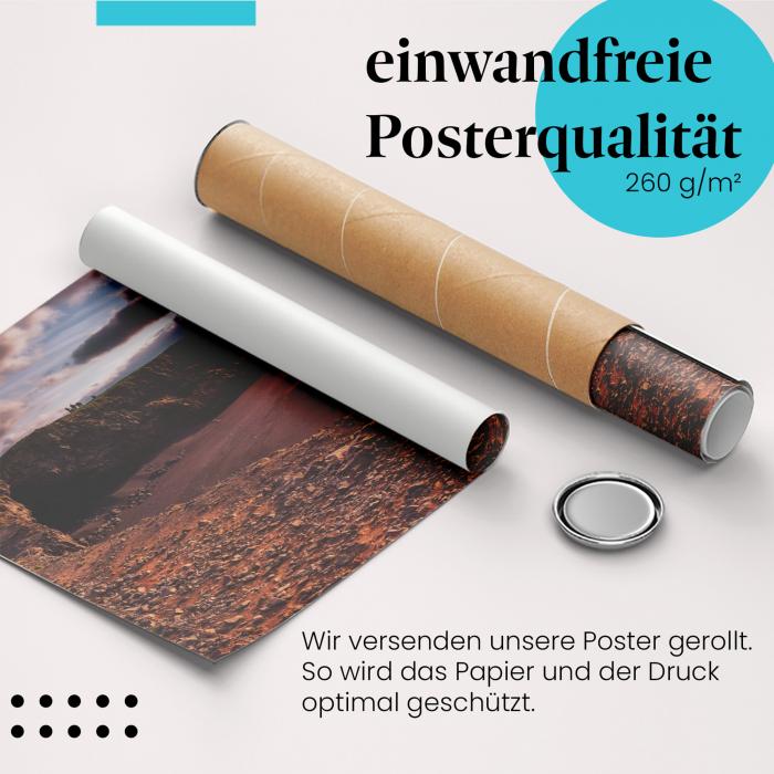 Preview: Islands Küste | Postereck 3560