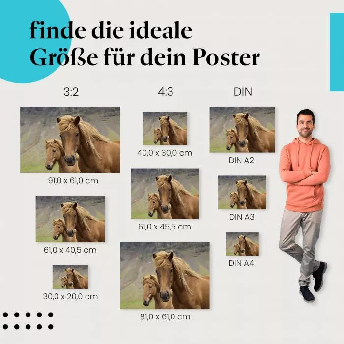 Islandpferde: Majestätisch vor Vulkanlandschaft | Postereck 0525