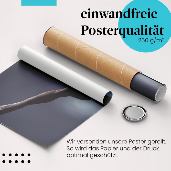 Preview: Kampfsport | Postereck 3169