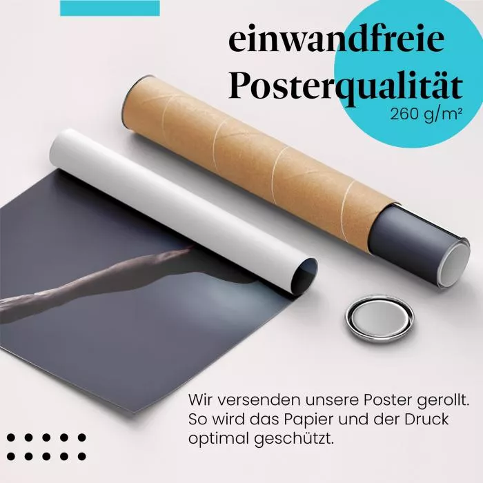 Kampfsport | Postereck 3169