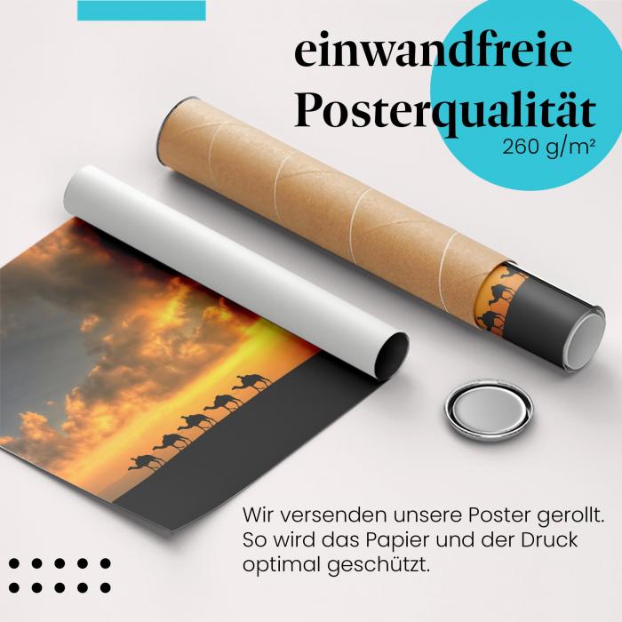 Gerolltes Poster "Karawane", Sonnenuntergang, Wüste.
