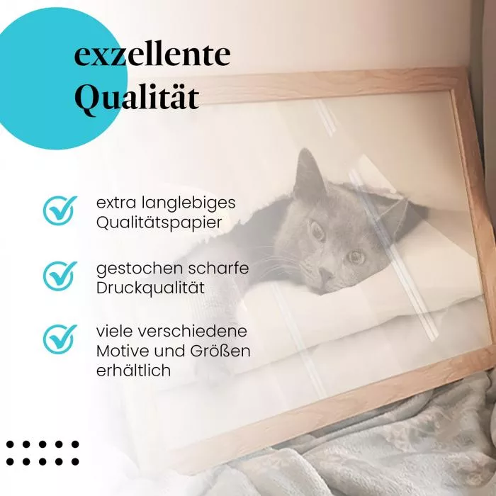Gemütliche Katze: Im Bett | Postereck 1800