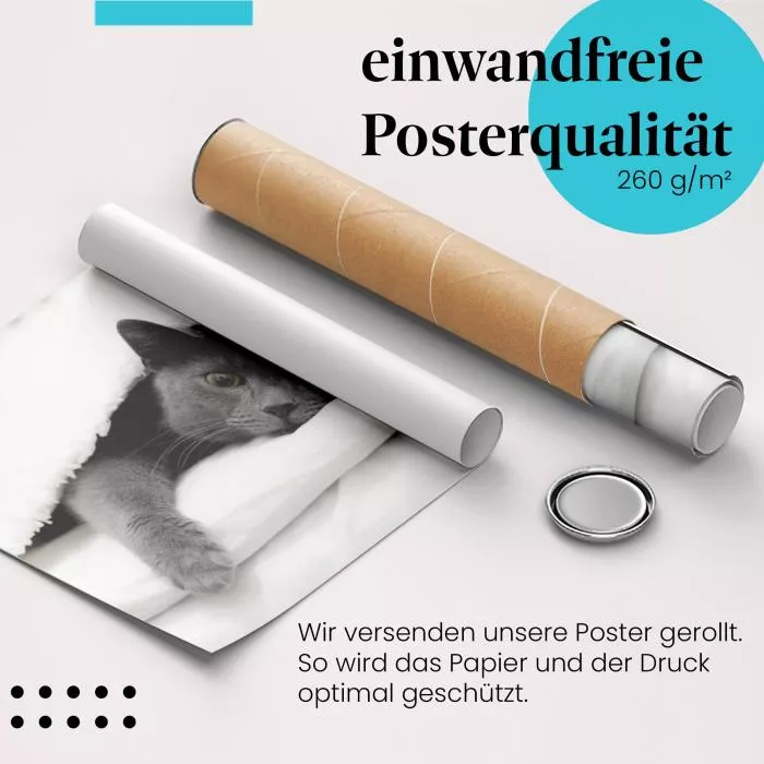 Gemütliche Katze: Im Bett | Postereck 1800