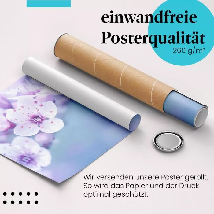 Zarte Kirschblüten: Frühling… | Postereck 1321