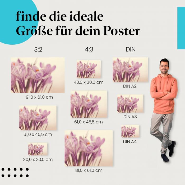 Zarte Krokusse Poster: Frühlingsposter - jetzt bestellen!