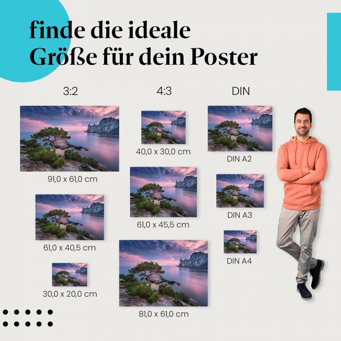 Finde die ideale Postergröße: Felsige Küste, Kiefer, Sonnenuntergang, warme Farben.