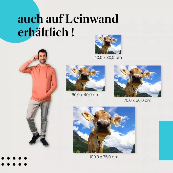 Neugierige Kuh | Postereck 2365