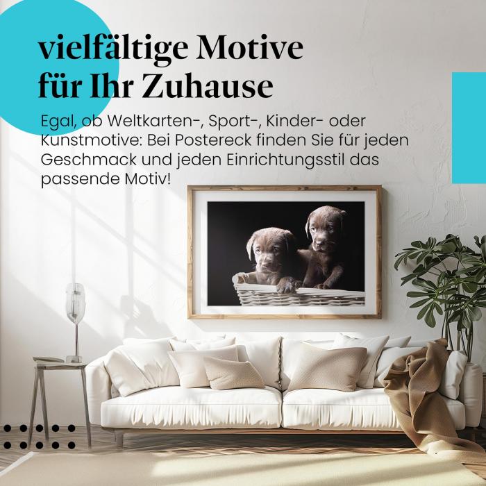 Preview:  Süße Labradorwelpen: Kuschelige Freude | Postereck 0209