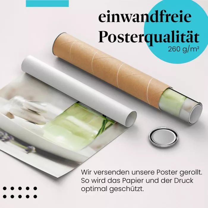 Lavendel: Entspannung & Wohlbefinden | Postereck 1950