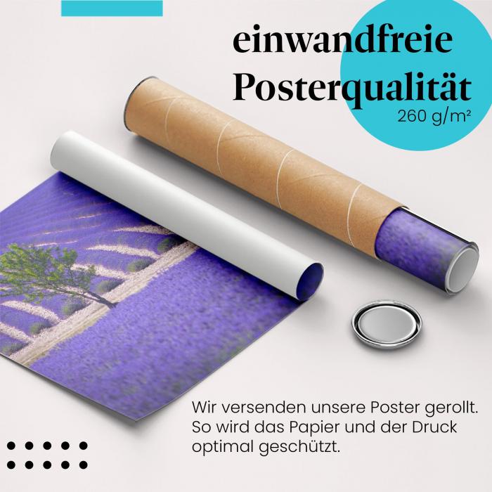 "Lavendelfeld": Gerolltes Poster - Provence, Baum.