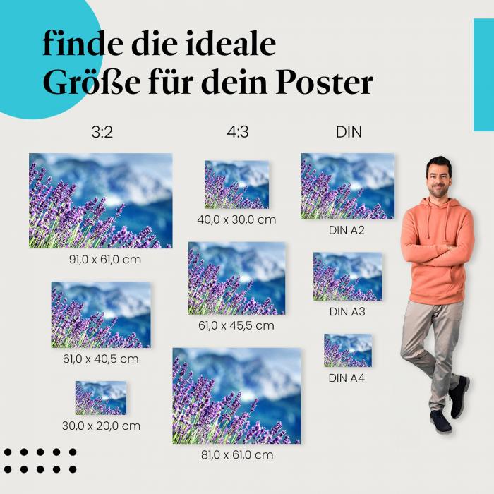 "Lavendelblüte": Poster mit duftenden Lavendelblüten & malerischem Panorama