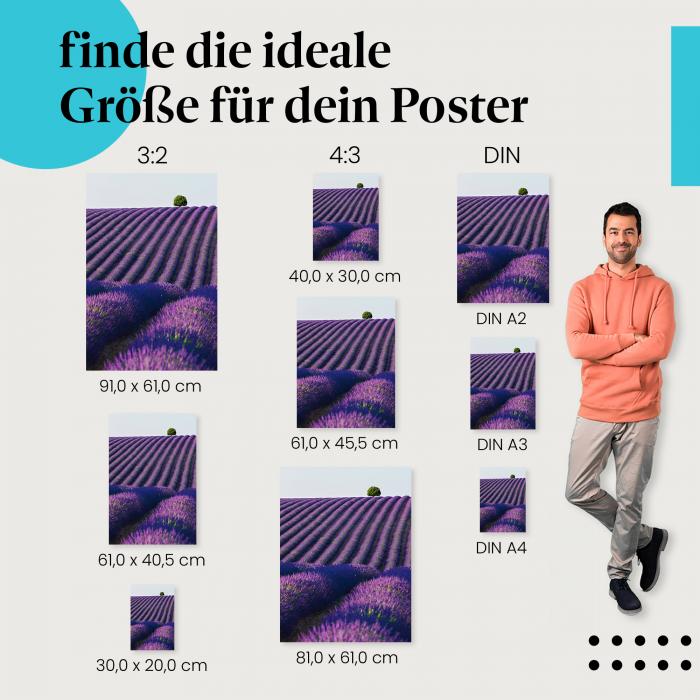 Lavendelfeld, Poster: Lila, Baum, Symmetrie.