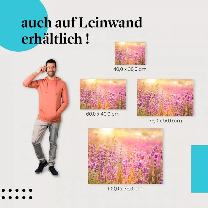 Lavendelfeld | Postereck 2759