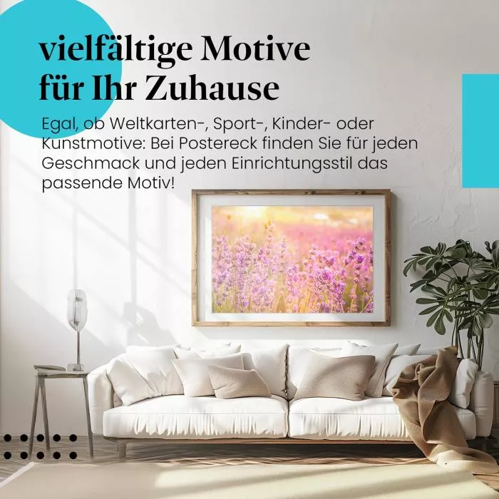 Lavendelfeld | Postereck 2759