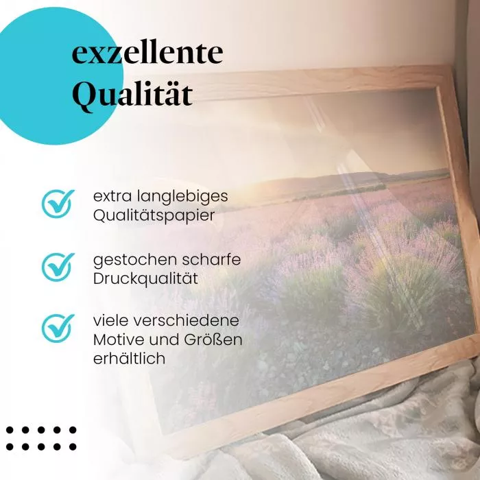 Lavendeltraum | Postereck 2210