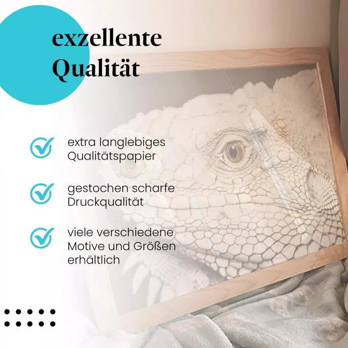 Leguan | Postereck 3924