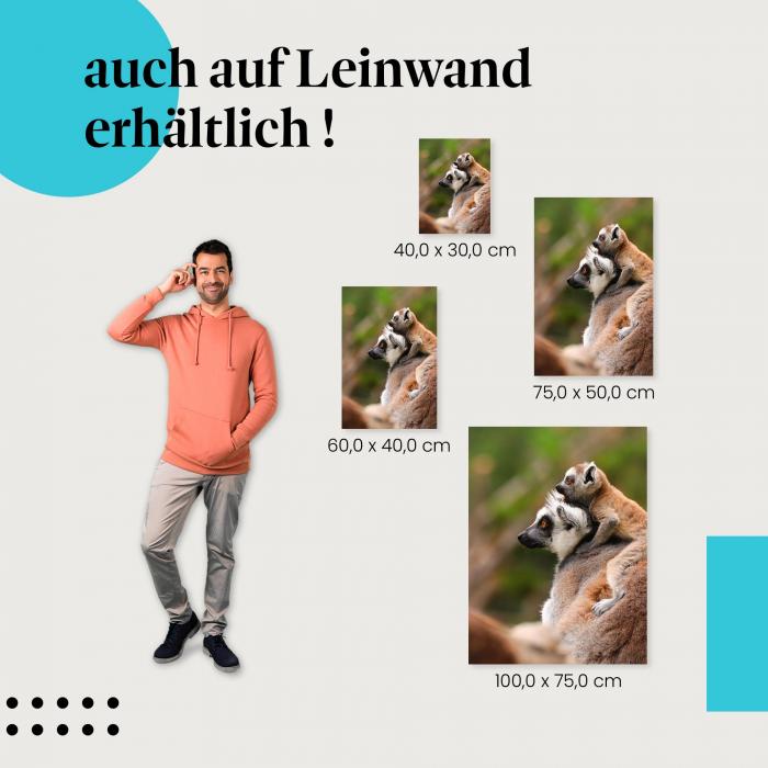 Lemuren: Leinwandbild. Mutter & Junges, Regenwald, wähle deine Größe!