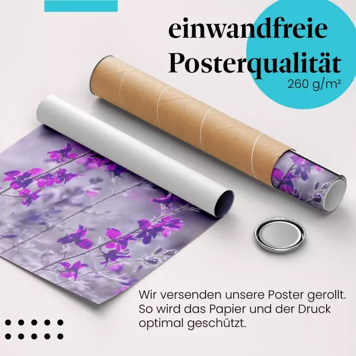 Lila Blütenzauber | Postereck 2385